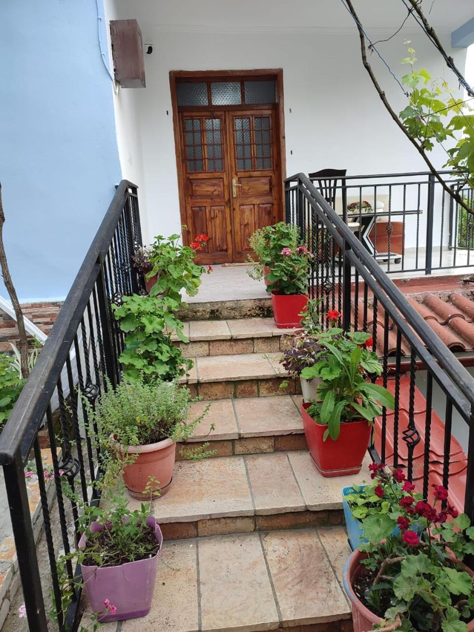 Guest House Eloid Berat Bagian luar foto
